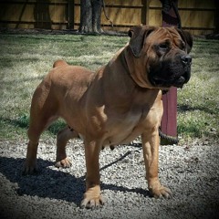 Hip Hop Is In The House