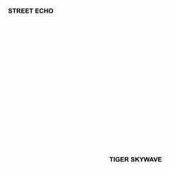 Street Echo