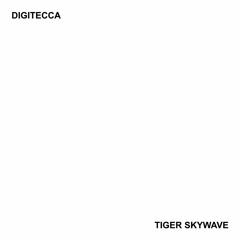 Digitecca