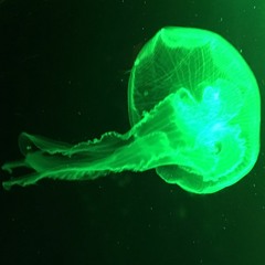 I Wanna Dance Until The Morning Mix