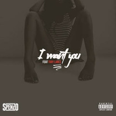 Spenzo Ft. Tory Lanez - I Want You