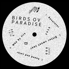 Birds Ov Paradise - JENS005 B2. Who By Fire