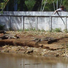 Mac Miller - Pittsburgh Kidz (Dj Hannes Remix)