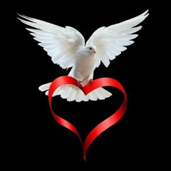 " حمــام السـلام "