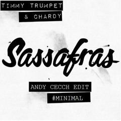 Sassafras (Andy Cecch Minimal Bootleg)