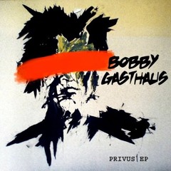 Bobby Gasthaus - Privus (Hey, Palsson! Remix)