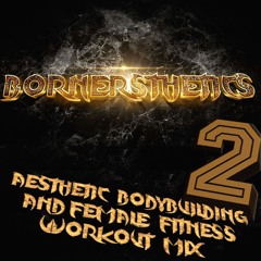 Gym Workout Music Mix 2 - Aesthetic Bodybuilding Workout Motivation Songs