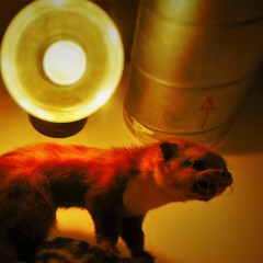 Hey Hey - Clockwork Carousel