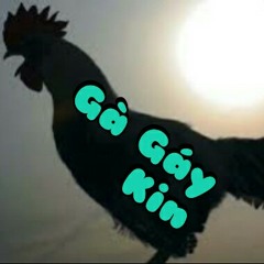 ( Dizz Phởn 7LD ) Gà gay - Kin