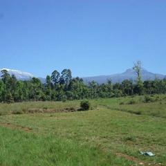 3.Malaika - Peace Maker