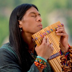Stream heer | Listen to leo rojas playlist online for free on SoundCloud