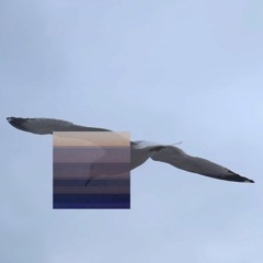 Lepton - ØCEAN (prod. Voodoo) "VIDEO"