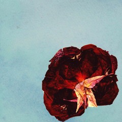 Guess Things Happens That Way