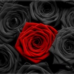 Roses : The Chainsmokers Cover