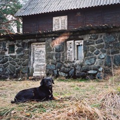 yugo florida - danpodan