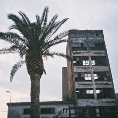 yugo florida - suša