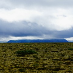 Lava Fields