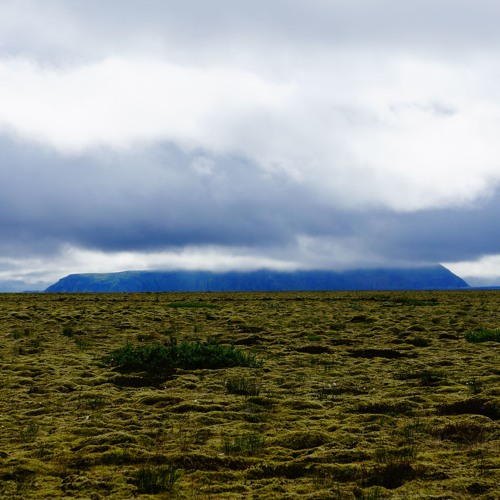Lava Fields
