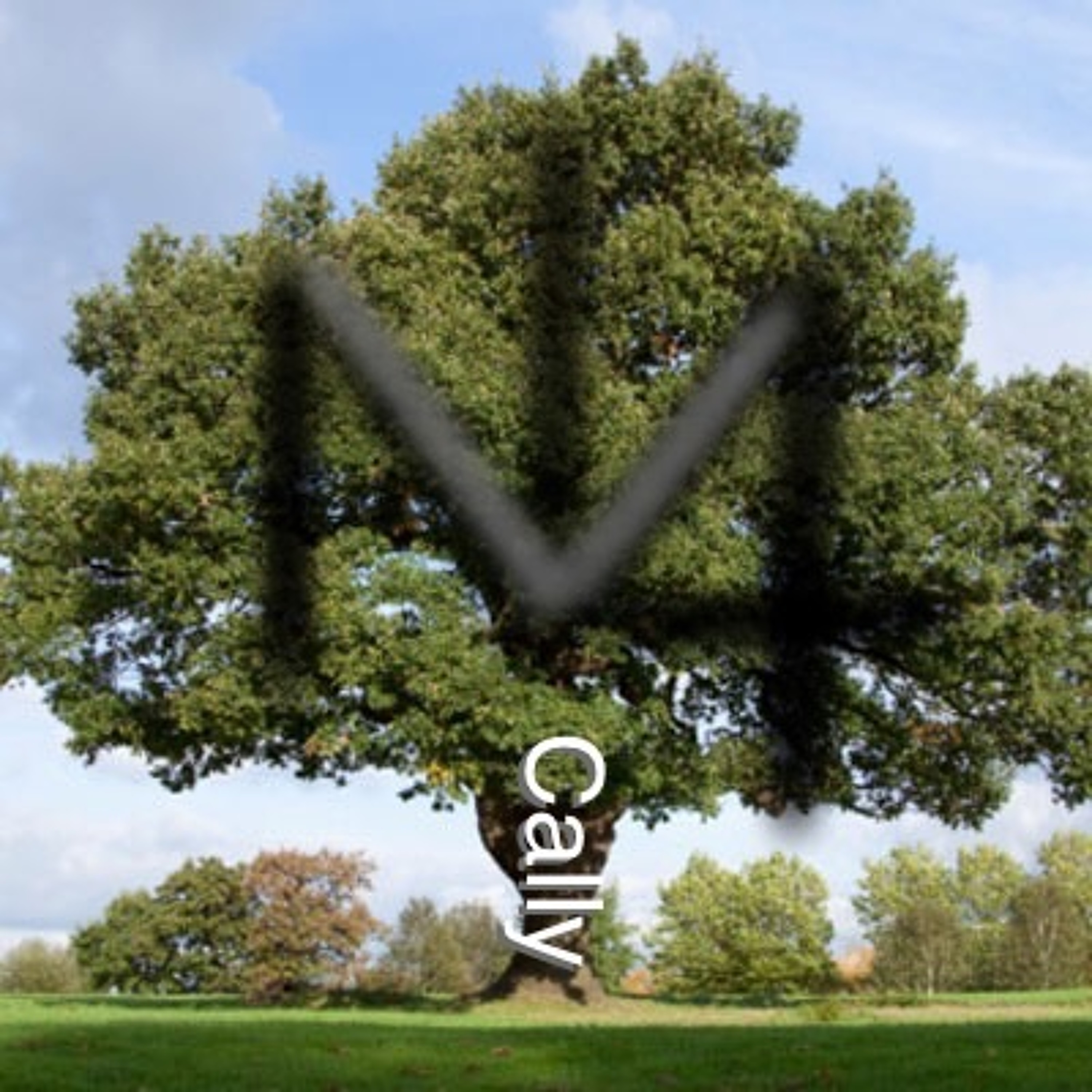 One Tree episode artwork