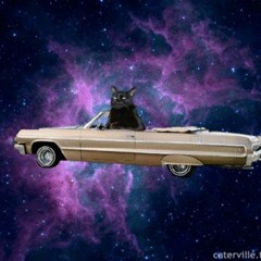 Cruisin' In My Siamese