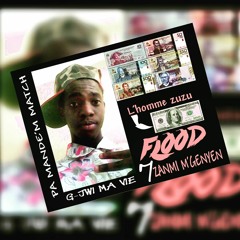 Flood 7 Zanmi Track