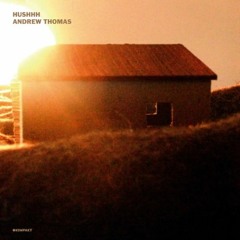 Andrew Thomas - Soft Bullets