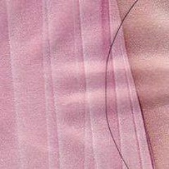 in the evenings she fell in love with capital