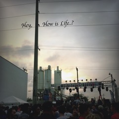 Hey, How Is Life..?