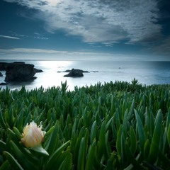 Schumann - In The Evening Op.12 No.1