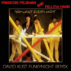 FRANCOIS FELDMAN & YELLOW HAND - You Want Every Night ( David Kust Funkynight Remix)