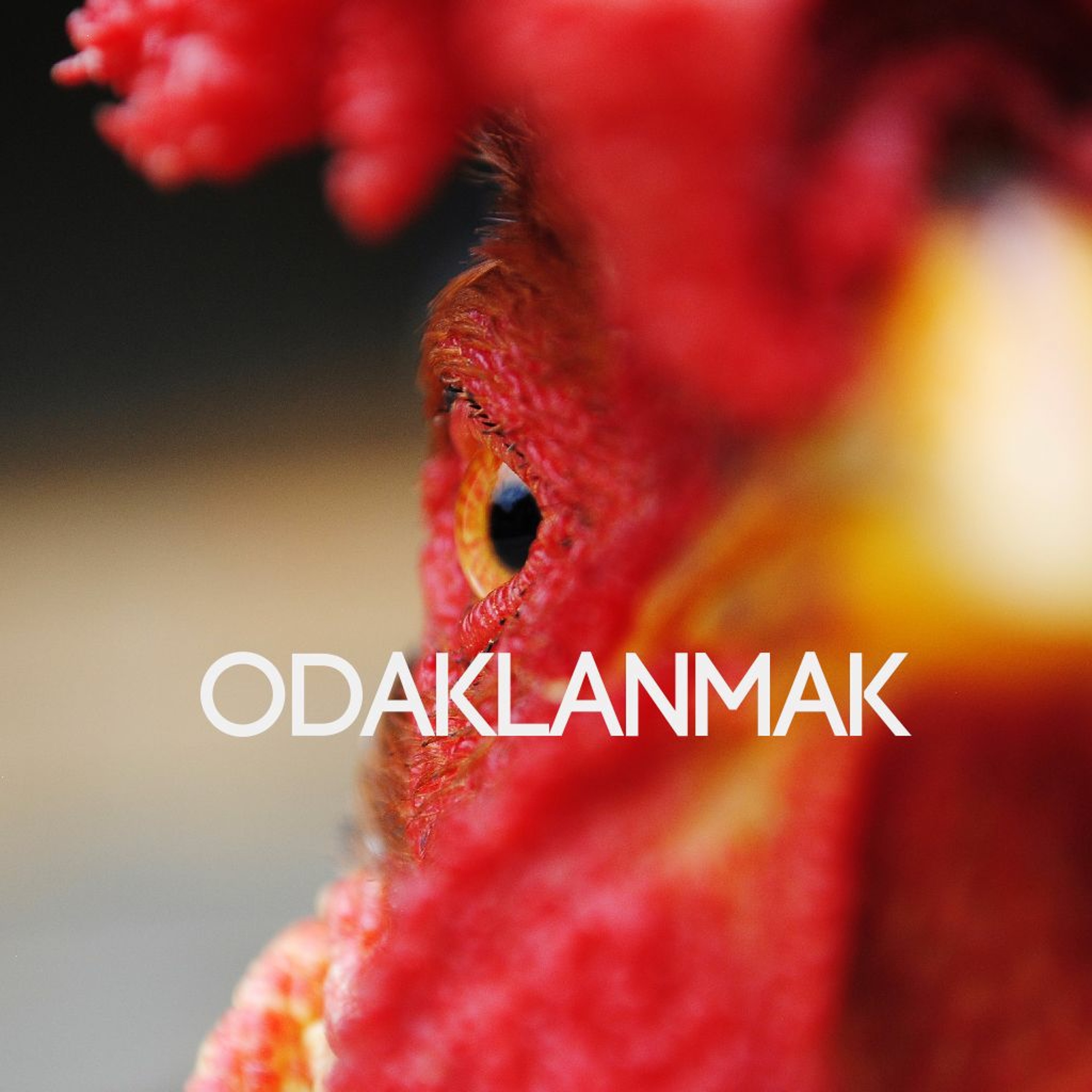Bölüm-3 : Odaklanmak episode artwork