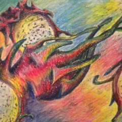 Toonorth - Dragonfruit (SOLD)