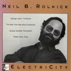 Neil Rolnick: ElectriCity, 13 Potomac Electric Power