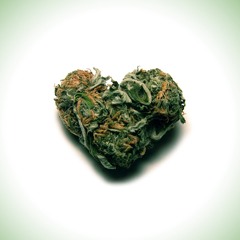 Juss 2 Carry On