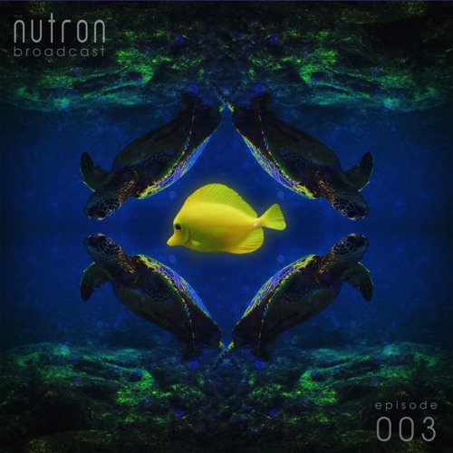 the nutron broadcast 003