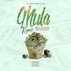 Mula Cashfeen - MULA