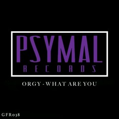 Orgy - What Are You (Original Mix) OUT NOW