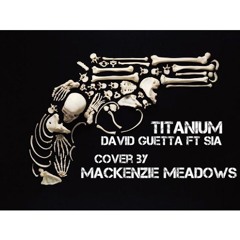 Titanium Cover {DOWNLOADABLE}