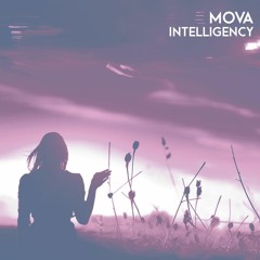 Intelligency - Ведаю, хто я