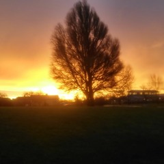 Springtime
