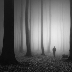 Cameo (Dis)appearance