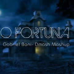 Gabriel Boni- So High  ( Dmash Mashup O Fortuna )