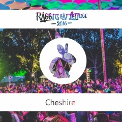 R.E.L 2016 Festival, Cheshire
