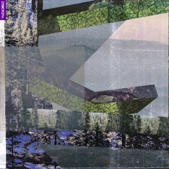 Silvestre - Floresta