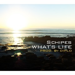 Schipes - What's Life (Prod. Diplo)