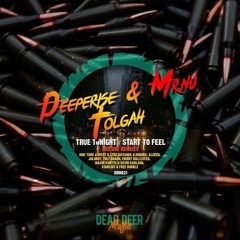 Deeperise & Mr.Nu,Tolgah - True Tonight (Original Mix)