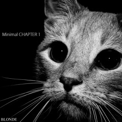 Minimal CHAPTER 1
