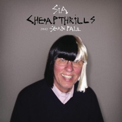 Sia Ft Sean Paul -  Thrills Cheap ( Tony Fernandez Moombahton Remix)