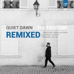 Quiet Dawn - Dusk (Garonne Remix) (STW Premiere)