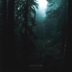 Pauda – Don't Save Her